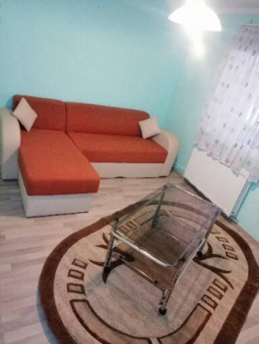 Apartament 2 camere la casa în regim hotelier.